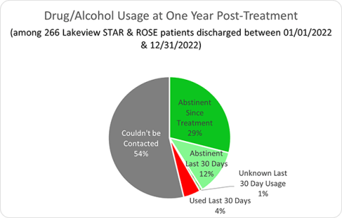 Drug/Alcohol Usage at One Year Post-Treatment - Lakeview Health-Rose & Star