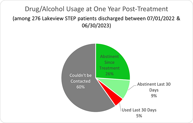 Stepping Stone Drug/Alcohol Usage at One Year Post-Treatment